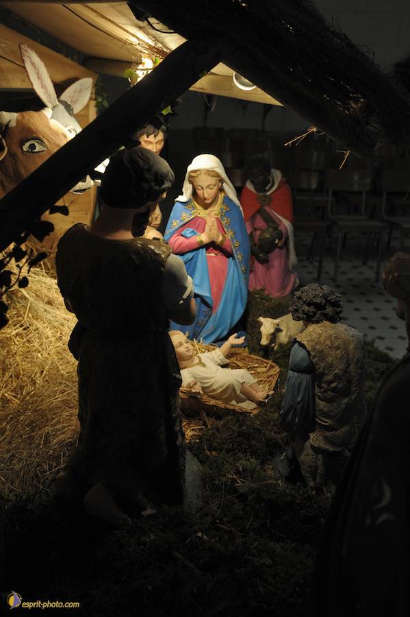 Nom de l'image : D30043066_1_(c)Norbert-JUNG — Description :